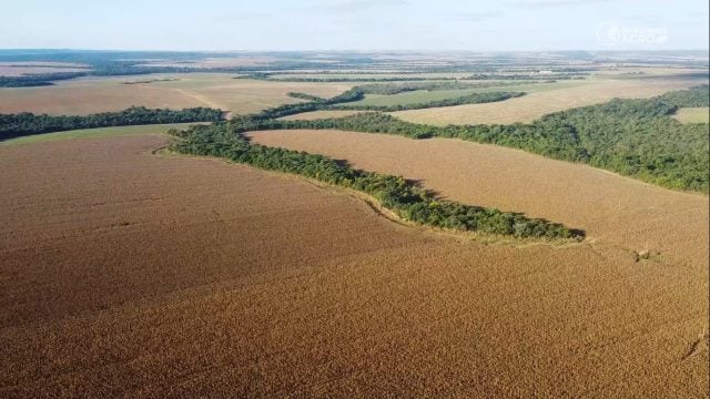 Agropecuária, terras, arrendamento, georreferenciamento