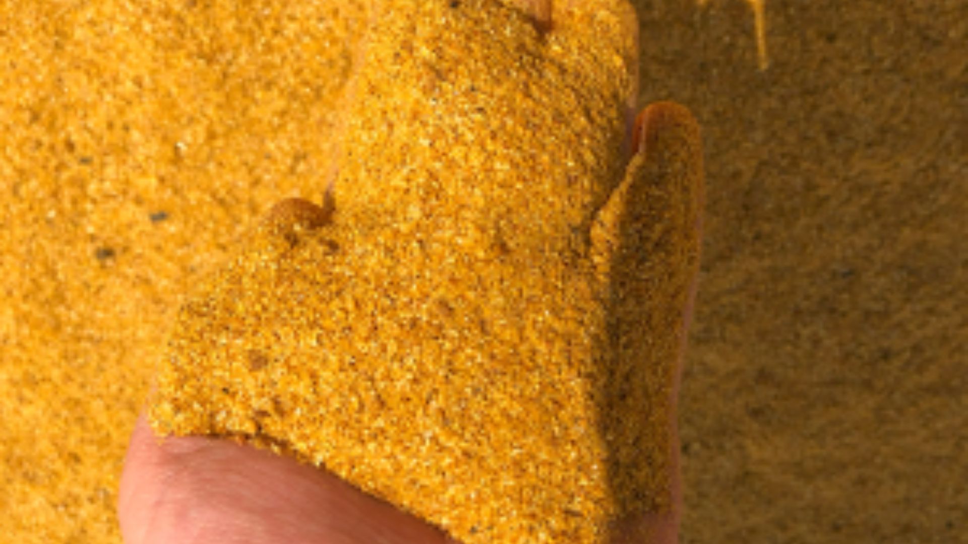 DDG no semiconfinamento: substitui milho sem comprometer o lucro?